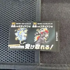 ポケモン スカーレット バイオレット 色違い ミライドン コライドン