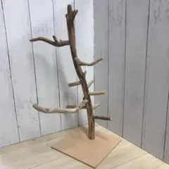 Item thumbnail for item aa1163c4-e152-4a35-b318-4c2eb4918f12