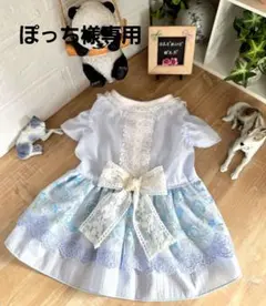 ハンドメイド犬服・爽やか！♥️エレガント！ギャザーたっぷりワンピース