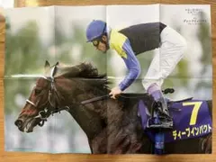 ディープインパクト イクイノックス 両面 ポスター 競馬 優駿 サラブレッド