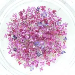 k.flower/mina様♡【ドライフラワー】アリッサム （ 687 レジン）