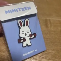 SEVENTEEN セブチミニティーン　スンチョル エスクプス