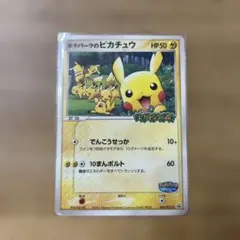 m97351087909_1.jpg?1770817432