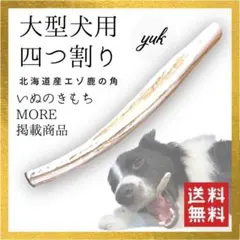 2026年最新】鹿のツノの人気アイテム - メルカリ