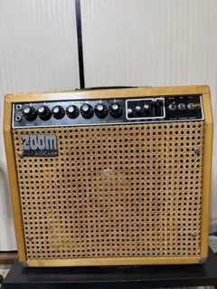 レア】ZOOM AIDEAN MESIA MB-60 - メルカリ