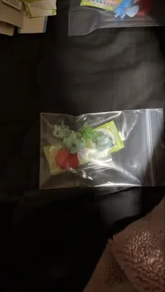 ポケモン チョコエッグ 旅立ちの3匹 フシギダネ