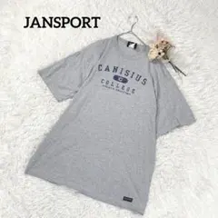 ジャンスポーツ XL Tシャツ 半袖 グレー ビッグサイズ ゆったり 夏のサムネイル