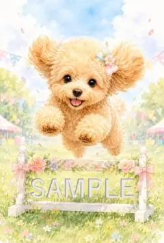 トイプードル　水彩画風 犬　わんちゃん　ポストカード イラスト D19