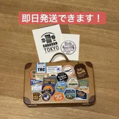 限定品 トラベラーズノート20周年記念カスタマイズセット Baby