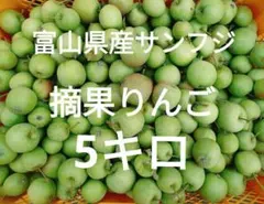富山産　サンふじ　摘果りんご　5キロ 減農薬栽培