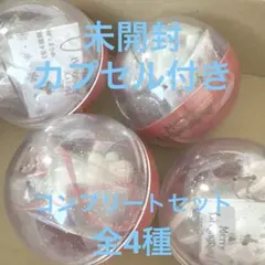 リルリンリン カプセルトイ 2025 コンプリートセット ディズニー