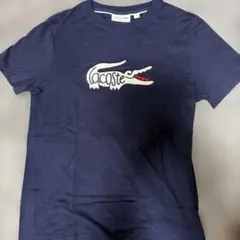 LACOSTE ラコステ ロゴ刺繍 Tシャツ ネイビー