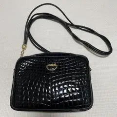 Item thumbnail for item 481f36a5-3cef-4e39-a0d9-db87fd39e966