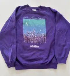 古着Hanes スウェット　トレーナー　Mサイズ