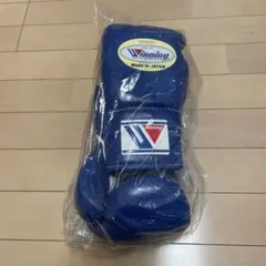 Item thumbnail for item 03078037-c998-4096-8826-3c1c8bde319c