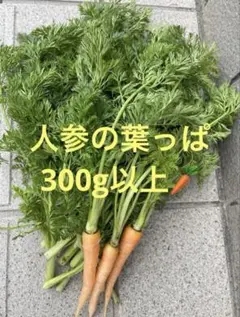 生牧草農薬不使用！オーツヘイ✨ネコポス箱込み300g以上 小動物おやつ