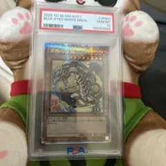 2025 Yu-Gi-Oh! ブルーアイズ・ホワイト・ドラゴン PSA 10