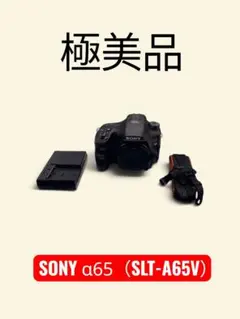 SONY α65 SLT-A65V 本体 バッテリーチャージャー付