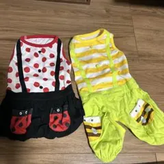 犬服 てんとう虫・ハチさん！3キロから5キロ