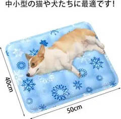 Item thumbnail for item da756f34-dbf8-4de9-8f06-5b17408d6d05