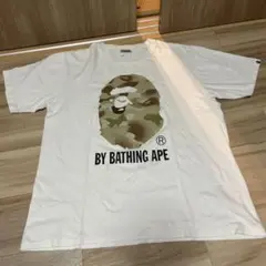 Item thumbnail for item d5bdcadc-8829-4396-a704-5b79fbeb1263