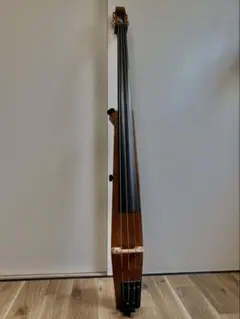 2025年最新】alter EGO bassの人気アイテム - メルカリ