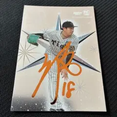 ぐっさんJubilo&Tigers様 リクエスト 2点 まとめ商品