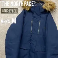 レア《ザノースフェイス》ゴアテックス ダウンジャケット/M