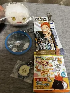 ハイキュー 星海 光来 まとめ 売り セット 鴎台 アドラーズ もちマス