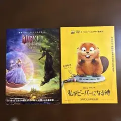 ウィキッド、私がビーバーになる時 映画チラシ