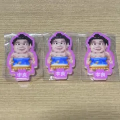 大相撲 ドット絵力士アクリルバッジ 宇良 3個セット