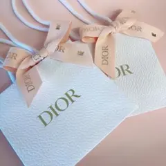 Dior 蝶々 リボン付き ショップ袋 ショッパー 紙袋 小 限定 2枚