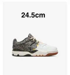 NIGO x Nike Air Force 3 Low SP / Phantom