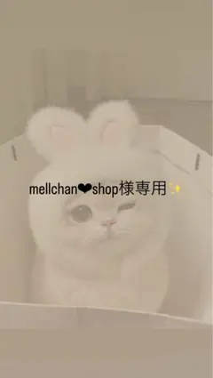 mellechan‪‪❤︎‬shop様専用ページ