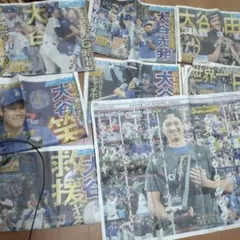 Item thumbnail for item 4a633254-dcf3-40a6-bdef-5bfc9053b81f