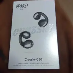 QCY Crosssky C30 ワイヤレスイヤホン　左のみ