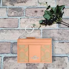 【正規品】 COACH ミニ スキニー ID ケース・シグネチャー ジャカード