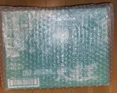 SMP 大連王