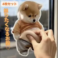 4枚❤おなか ぷにぷにシール 柴犬 お腹 立体 シール ３D ステッカー 新品