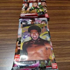 RIZINウエハース 24 No.27 “ブラックパンサー”ベイノア