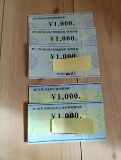 ビックカメラ・コジマ株主優待券 5000円分