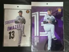 Item thumbnail for item be8c0d70-4780-4018-a6d5-e757886e09e5