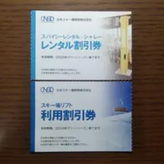 日本駐車場開発株主優待　スキー場リフト利用割引券など2枚セット