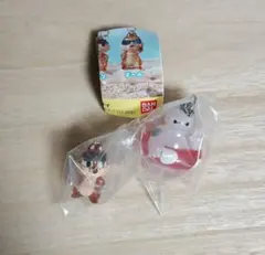 ディズニーキャラクター　めじるしアクセサリー　Summer　2点セット