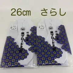 Item thumbnail for item 31ee8759-5f49-4fce-8647-1b0ddfa16979