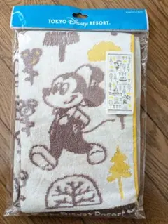 東京ディズニーリゾート ミッキー　ドナルド タオル　北欧風