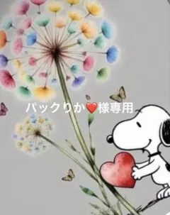 4点セット⭐︎SNOOPY スヌーピー 2wayシール帳 Mシールバインダー