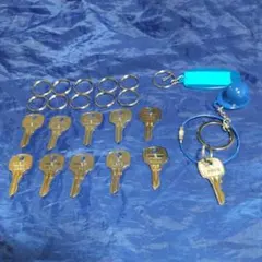 Item thumbnail for item 164cf8e5-c929-40e6-a15d-c01e55de152c