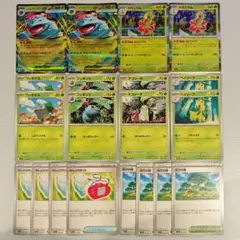 メガフシギバナex メガニウム 進化ライン むしとりセット 活力の森