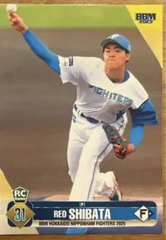 北海道日本ハムファイターズ 柴田獅子選手 プロ初登板証明証 - メルカリ